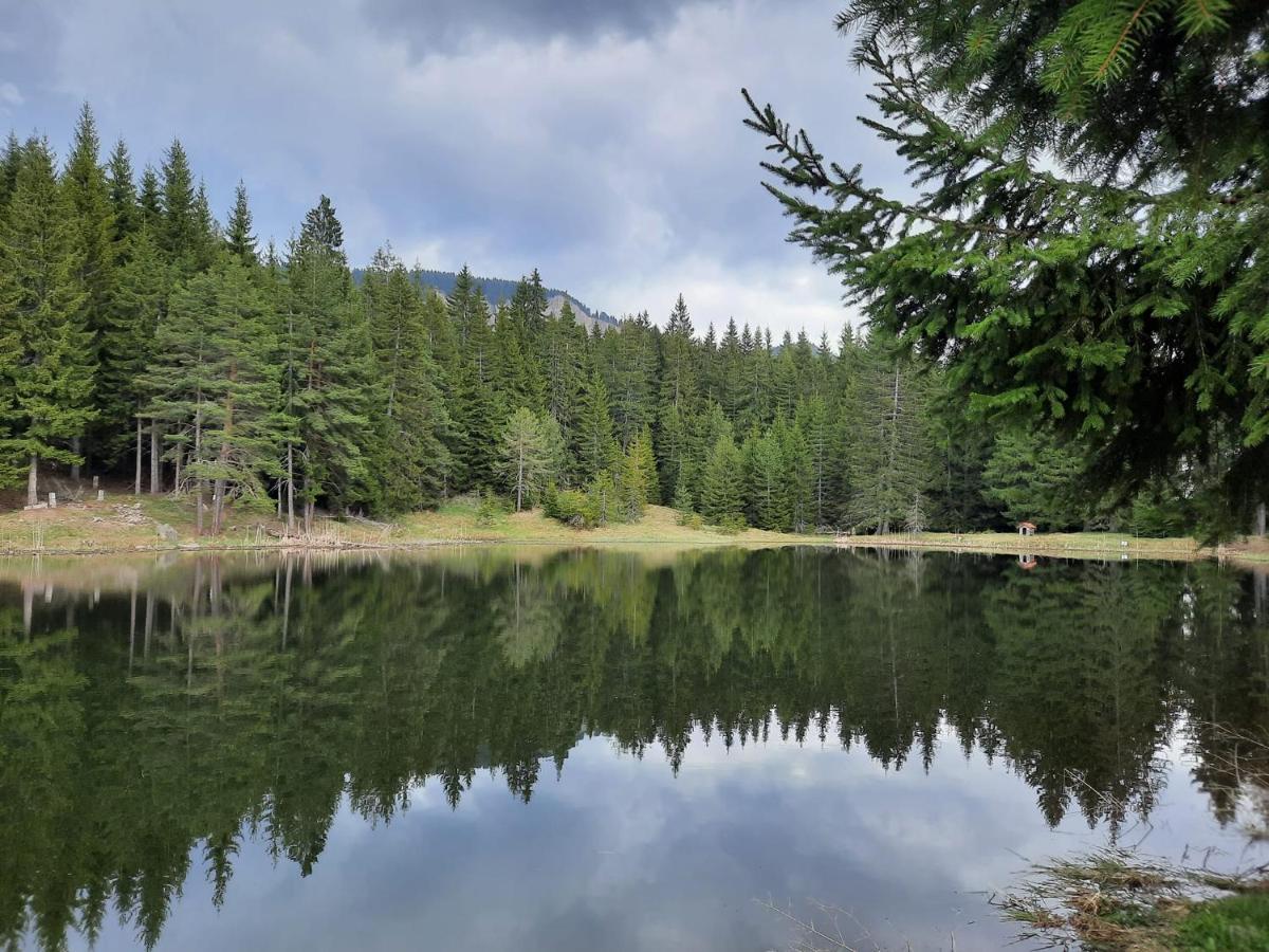 Утро Без Аларма, Смолянски Езера. Alarm Free Morning Smolyan Lakes Exterior foto